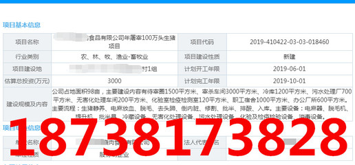 广东教育项目建议书写作及教育投资咨询 全面指南